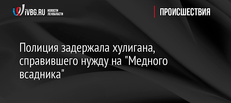 Полиция задержала хулигана, справившего нужду на "Медного всадника"