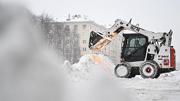 Синоптик: в Москве началась оттепель