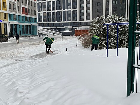 Синоптики прогнозируют лужи в Москве в День защитника Отечества