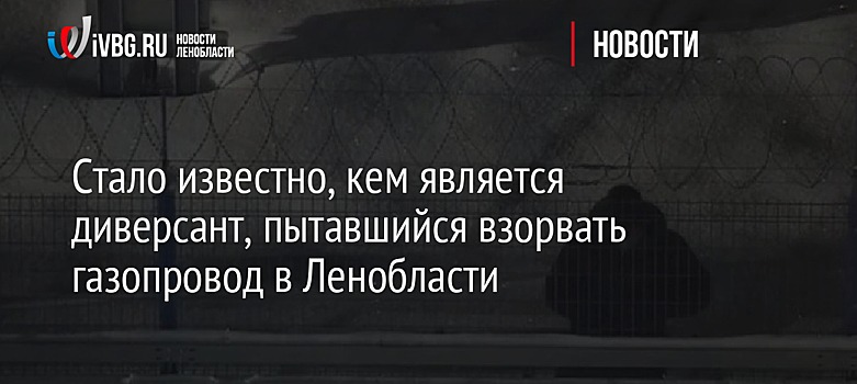 Стало известно, кем является диверсант, пытавшийся взорвать газопровод в Ленобласти