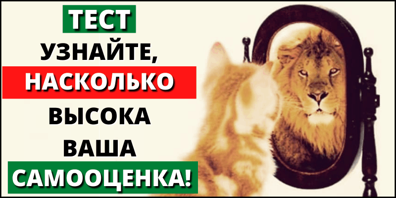 Тест. Узнайте, насколько высока ваша самооценка!