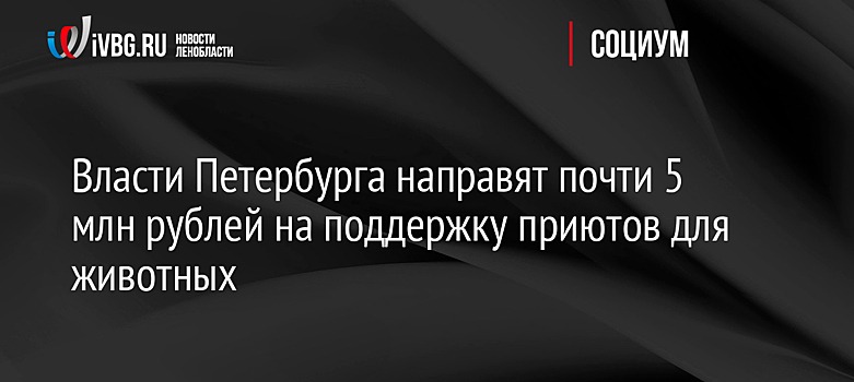 Власти Петербурга направят почти 5 млн рублей на поддержку приютов для животных