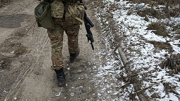 В Госдуме отреагировали на заявление Зеленского о новом наступлении ВСУ