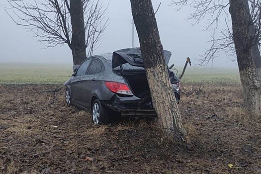 В Кабардино-Балкарии два человека погибли в ДТП лошадью