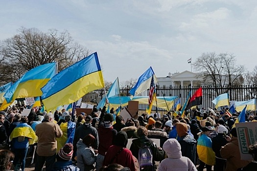 В Киеве считают, что после отстранения Залужного Зеленский окажется на краю пропасти