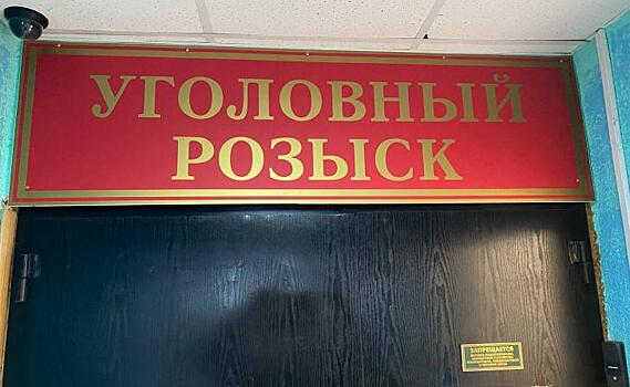 В Курск приезжала жительница Белгородской области, чтобы красть технику в магазинах