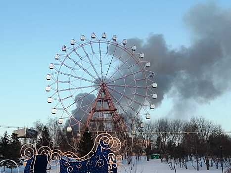 В Новосибирске пожарные сняли ребёнка с крыши горящего дома