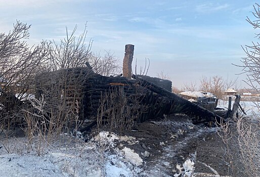 В Новосибирской области меньше чем за сутки при пожарах погибли 4 человека