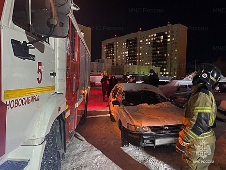 В Новосибирской области за неделю в пожарах погибли пять человек