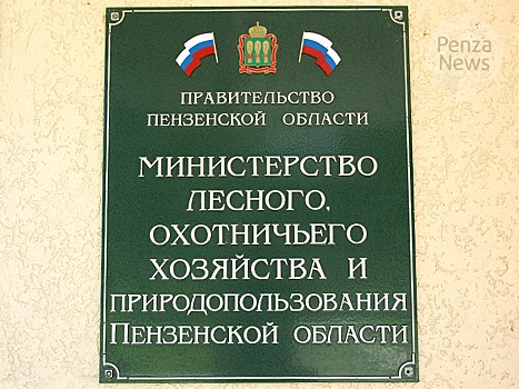 В Пензенской области за неделю выявлено шесть нарушений лесного законодательства