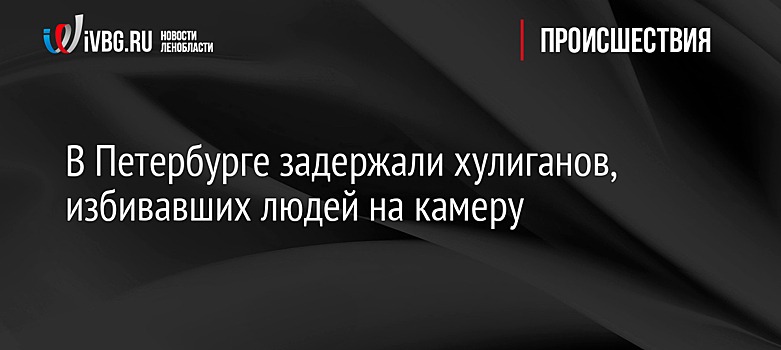 В Петербурге задержали хулиганов, избивавших людей на камеру