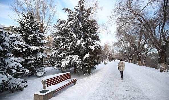 В Волгоградскую область после оттепели и туманов идут морозы до -15°С