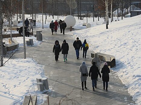 Воздух в Москве 28 февраля может прогреться до 5 градусов тепла