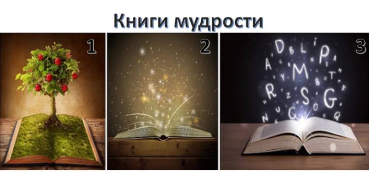 Выберите Книгу Мудрости. Она покажет вам путь к реализации целей