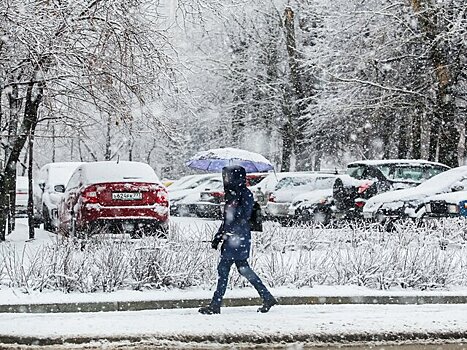 Жителей Москвы предупредили об умеренных осадках и порывистом ветре 4 февраля