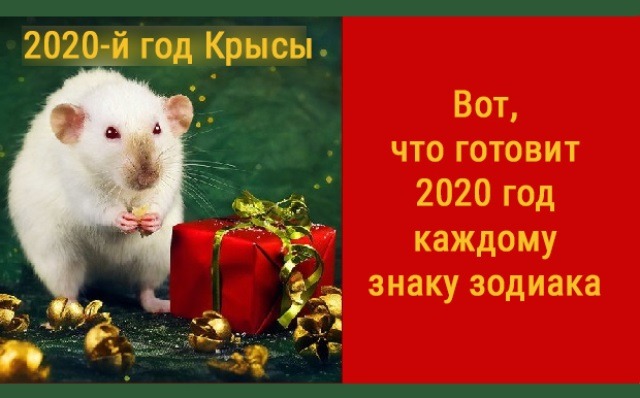 Что готовит вам 2020 год