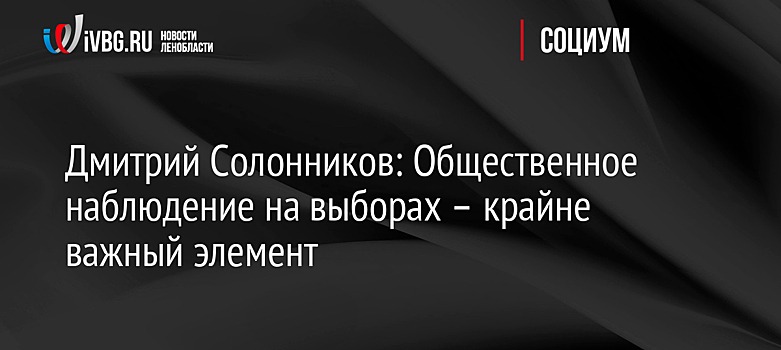 Дмитрий Солонников: Общественное наблюдение на выборах – крайне важный элемент