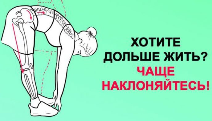 Хотите жить дольше? Чаще наклоняйтесь!