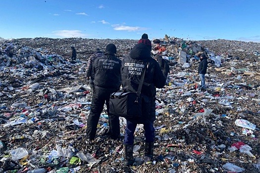 На Камчатке назвали вероятную причину смерти младенца, найденного на свалке