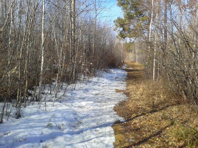 Плюсовая температура воздуха ожидается в Забайкалье0