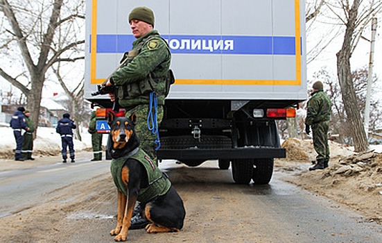 Под машиной экс-советника главы МВД ЛНР обнаружили около 600 грамм взрывчатки