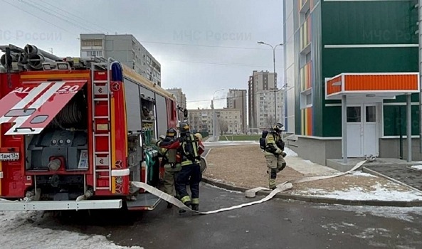 Пожарных из Светлого поблагодарили за гуманитарную помощь, отправленную в зону СВО