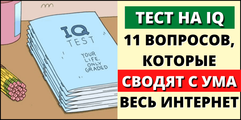 Тест на IQ: 11 вопросов, которые сводят с ума весь интернет