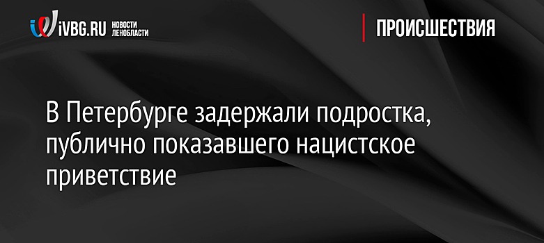 В Петербурге задержали подростка, публично показавшего нацистское приветствие