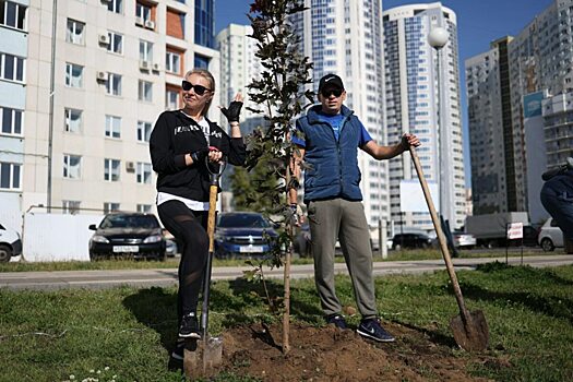 В Саратове весной хотят высадить более 450 деревьев