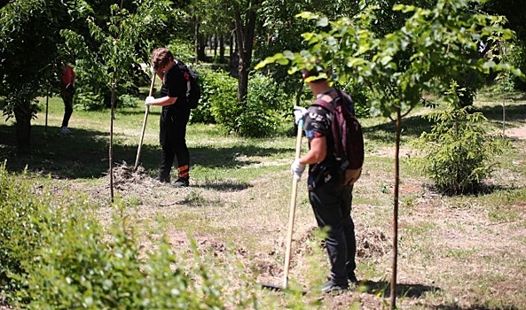 В Волжском к 70-летию города зеленый фонд пополнят 11 тыс. саженцев