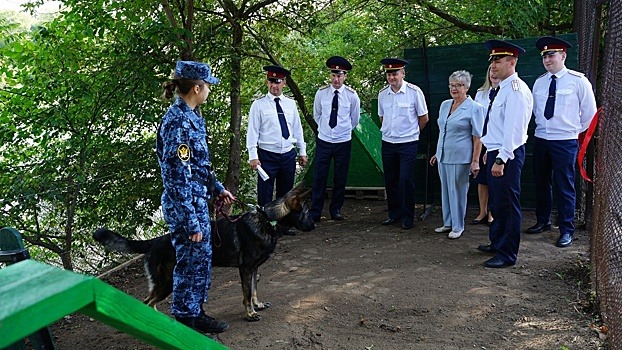 Кинологический городок и волейбольная площадка появились в исправительной колонии № 1 Вологды