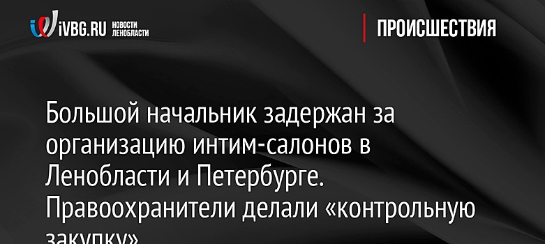 Начальника школы олимпийского резерва задержали за организацию притонов