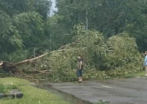 На Алтае подсчитывают ущерб от прошедшего урагана