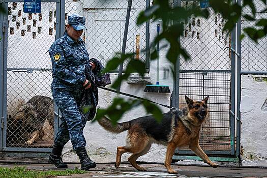 Правозащитник рассказал об условиях содержания заключенных в ИК-19 под Волгоградом