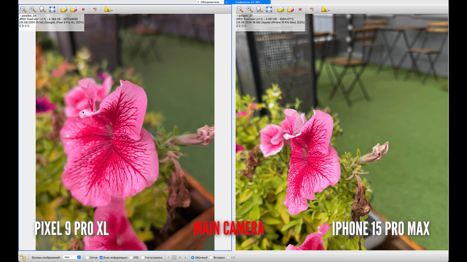Смог ли Pixel 9 Pro XL превзойти по камерам iPhone 15 Pro Max14