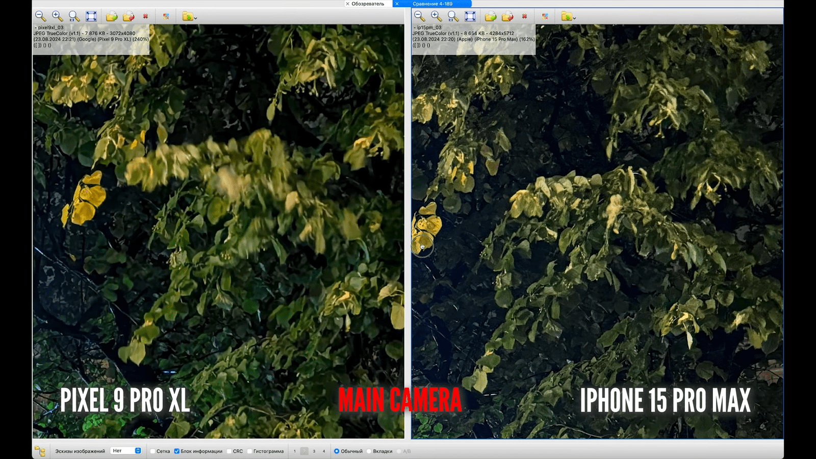 Смог ли Pixel 9 Pro XL превзойти по камерам iPhone 15 Pro Max3