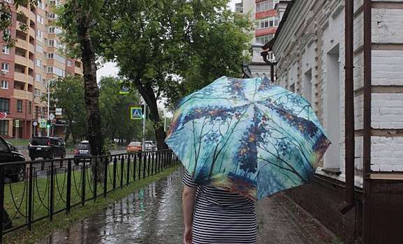 В Амурской области в выходные ожидаются сильные дожди