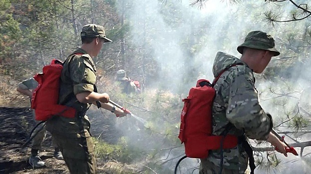 В МЧС заявили о стабилизации ситуации с лесным пожаром под Феодосией