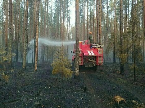 Арбажском районе горит лес