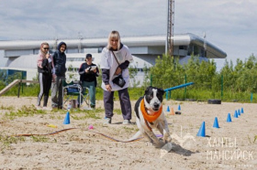 Хантымансийцев приглашают на общегородской субботник по очистке площадок для выгула собак