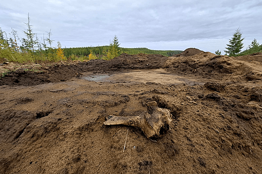 Якутские археологи обнаружили более 30 тысяч артефактов эпохи неолита