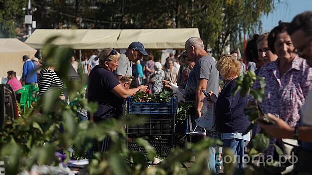 Ярмарка «Дары осени» вновь развернётся в Вологде