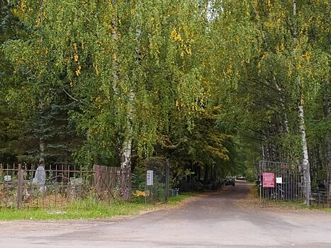 Кладбища закроют из-за кровопийц в Костроме