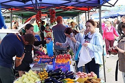 Краевая сельскохозяйственная ярмарка переезжает к цирку в Хабаровске