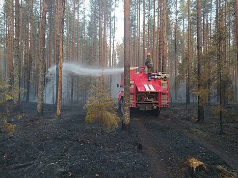 Лесные пожары на Украине стали причиной смога в двух районах Брянской области