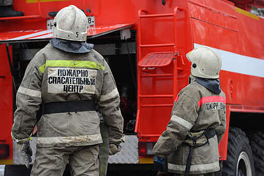 МЧС: крупный лесной пожар вспыхнул в Карелии