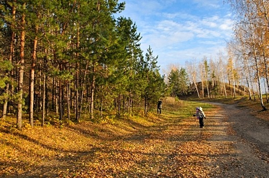 На Красноярск движется потепление