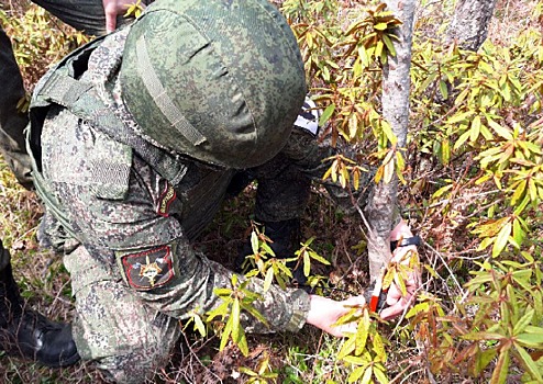 На Сахалине с военнослужащими армейского корпуса Восточного военного округа прошли занятия по установке мин