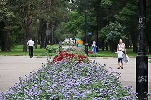 Обновление Амурского бульвара станет важным этапом реализации мастер-плана Хабаровска