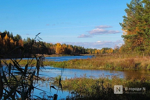 Осенние холода придут в Нижегородскую область после 18 сентября